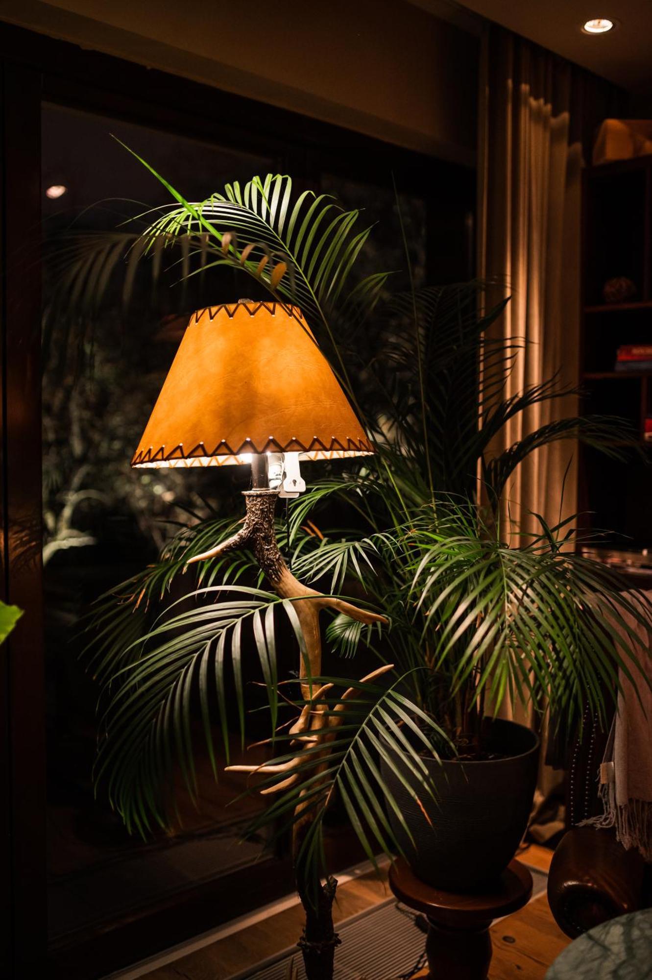 Le Petit Chalet - Artegianale Braşov Eksteriør billede